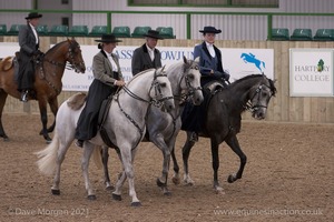 Lusitano Breed Society of Great Britain Show - Hartpury College - 27th June 2009